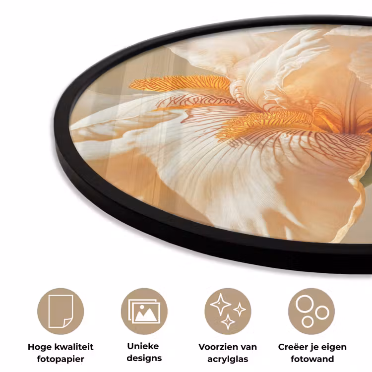 Ronde fotolijst - Close up - Oranje - Iris — 5