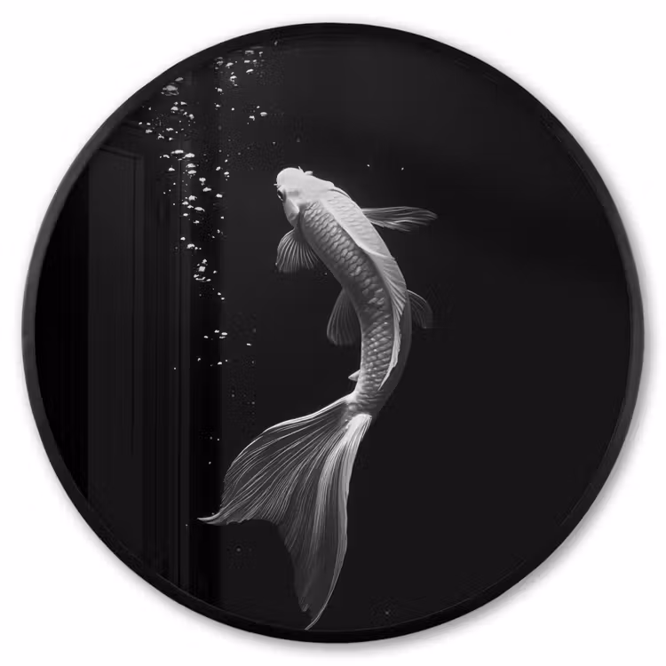 Ronde fotolijst - Koi - Vis - Wit - Zwart — 1