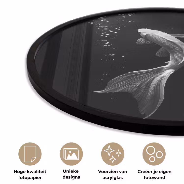 Ronde fotolijst - Koi - Vis - Wit - Zwart — 5