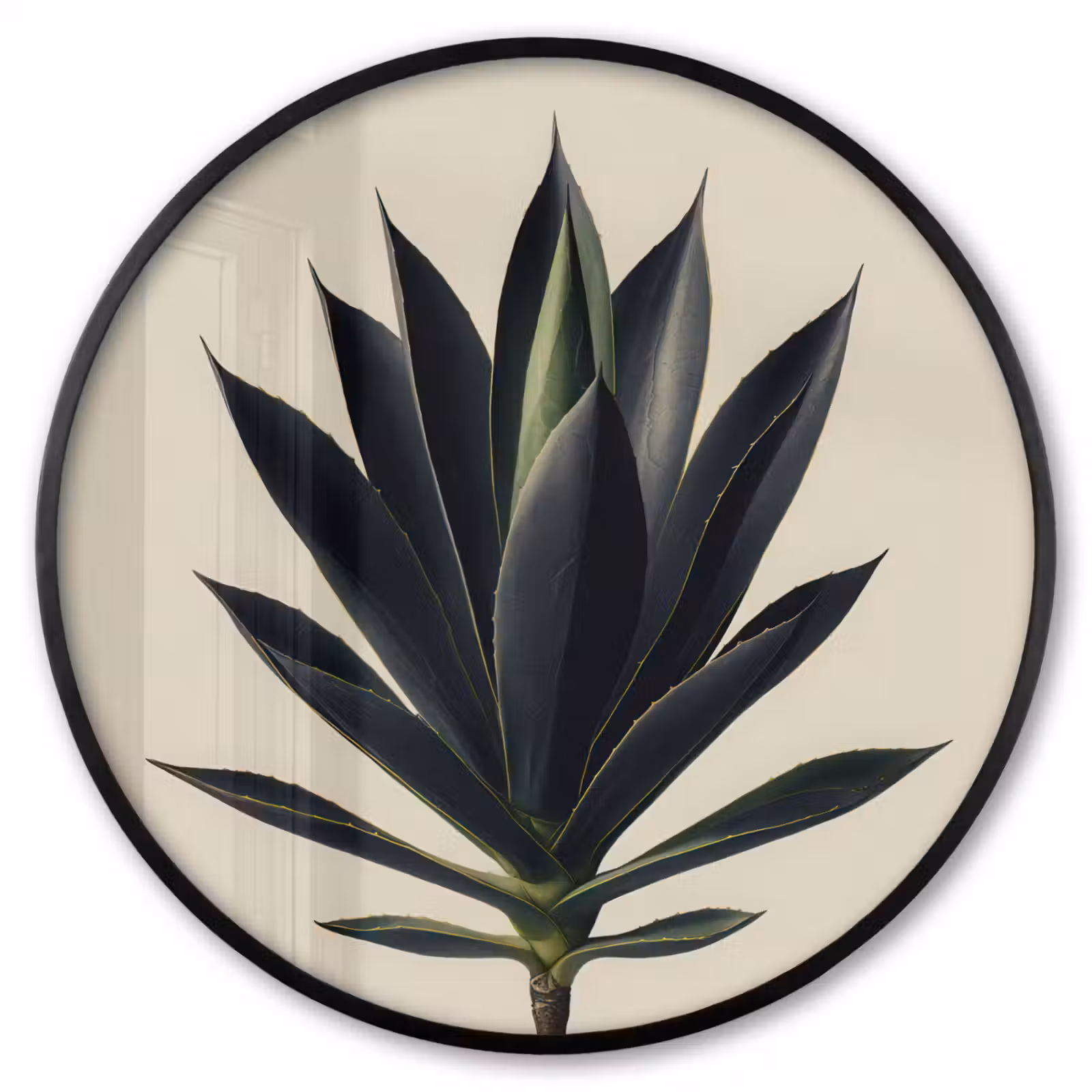 Ronde fotolijst - Agaveplant - Symmetrisch - Groen — 1