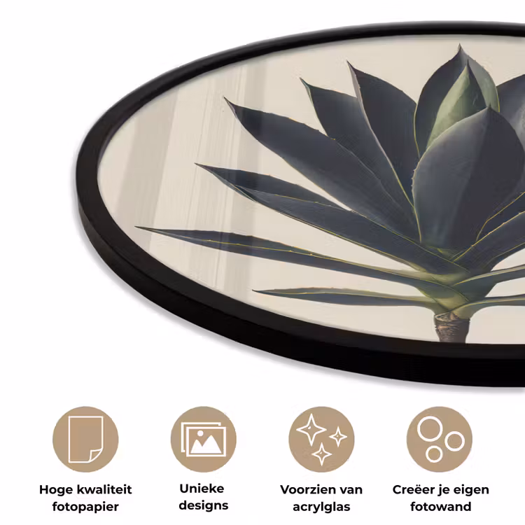 Ronde fotolijst - Agaveplant - Symmetrisch - Groen — 5