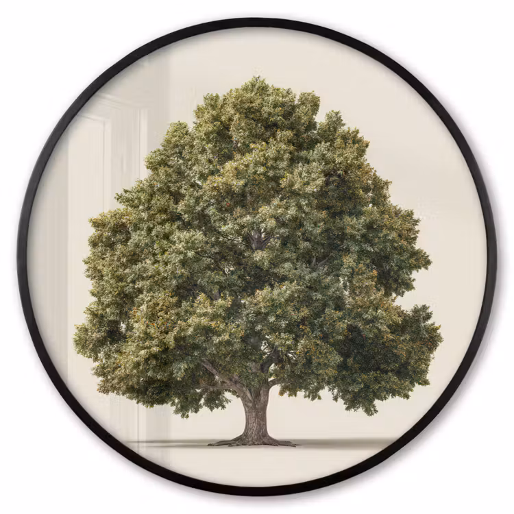 Ronde fotolijst - Eikenboom - Groen - Lichte achtergrond — 1