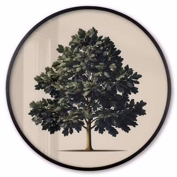 Ronde fotolijst - Eikenboom - Schaduw - Egaal — 1