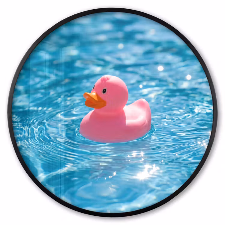 Ronde fotolijst - Badeend - Dobberend - Roze — 1