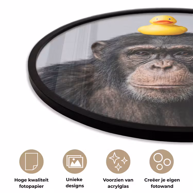 Ronde fotolijst - Chimpansee - Badeend - Grijs — 5