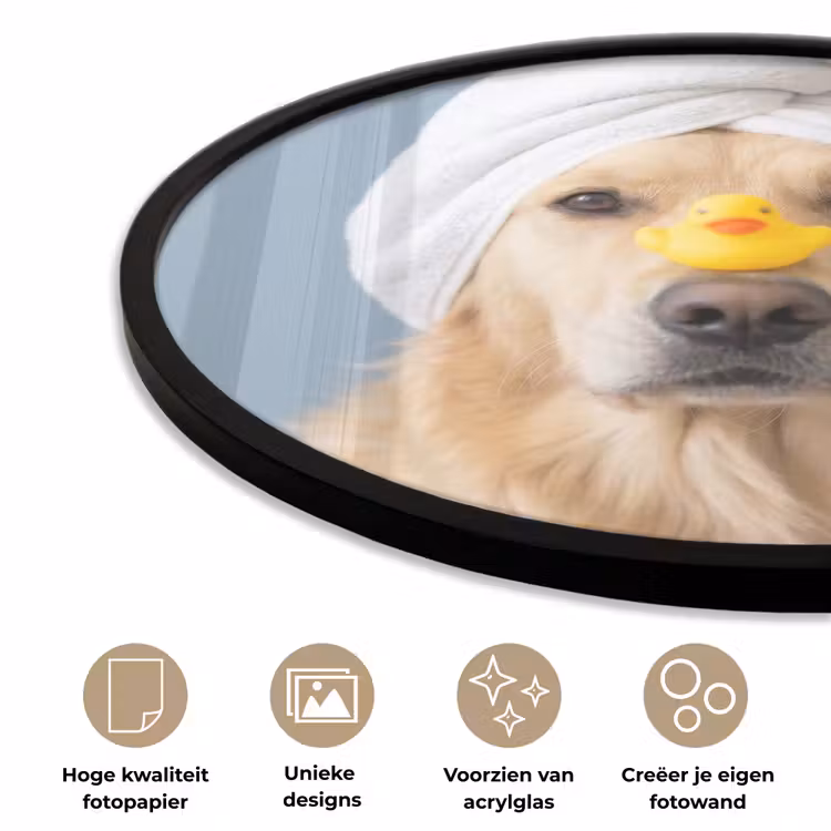 Ronde fotolijst - Hond - Badeend - Geel — 5