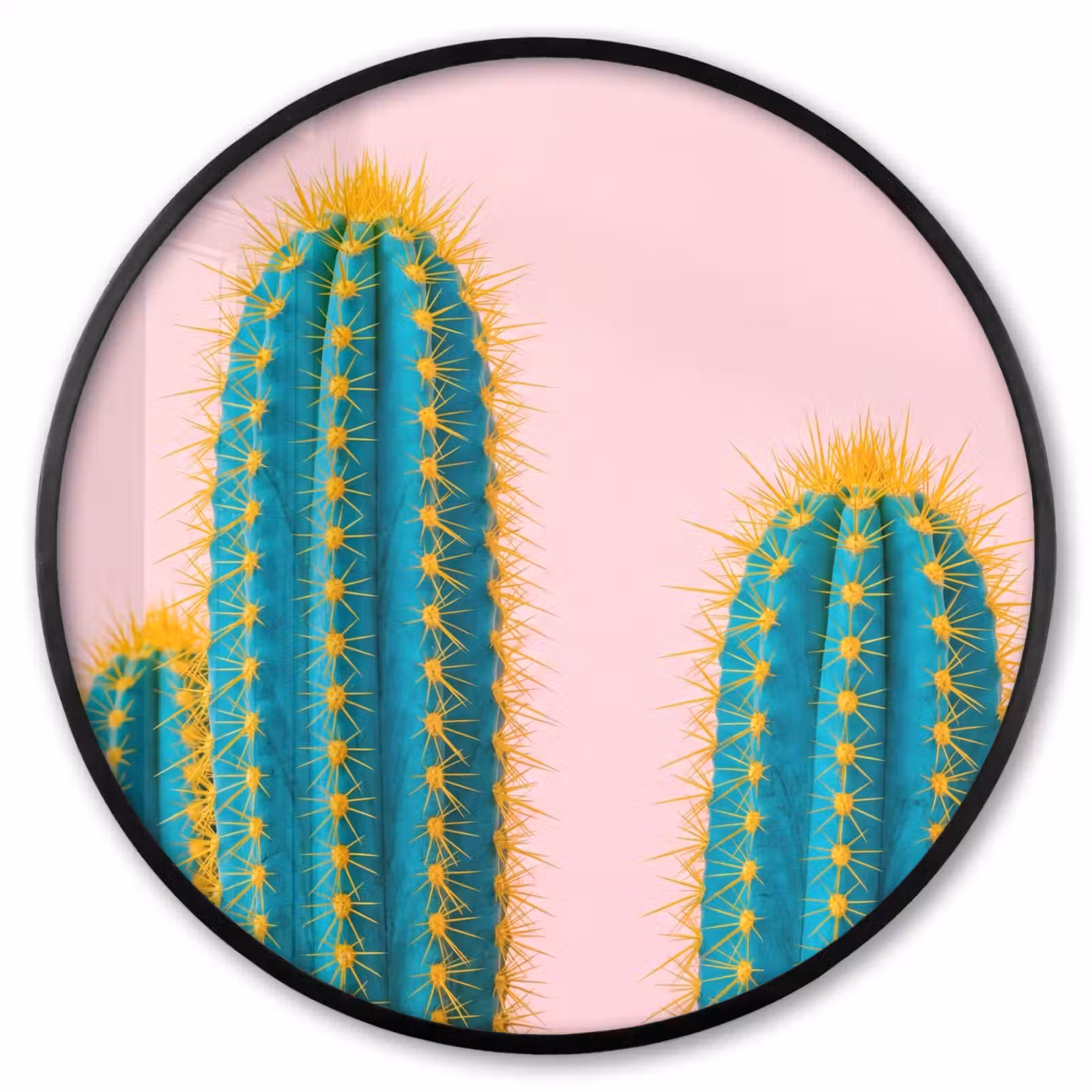 Ronde fotolijst - Cactussen - Modern - Pastel — 1