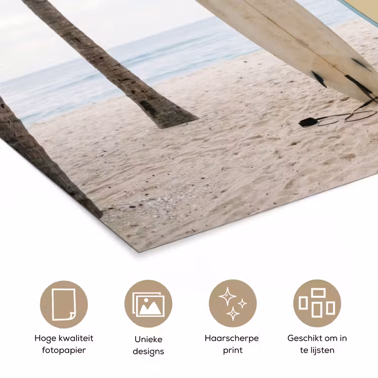 Poster - Surfboard - Palmbomen - Kleurrijk — 5
