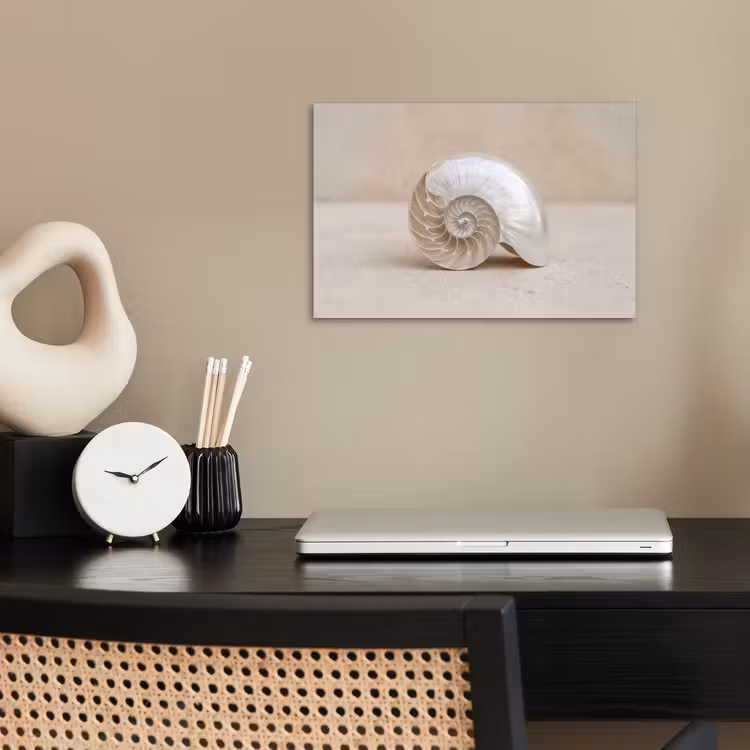 Poster - Schelp - Spiraal - Beige — 2