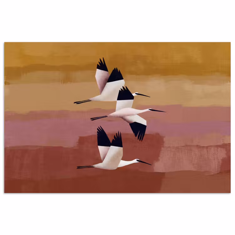 Poster - Vogels - Snavel - Abstract — 1