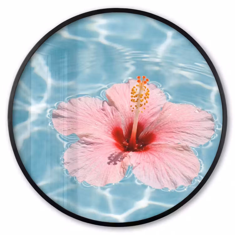 Ronde fotolijst - Hibiscus - Water - Roze — 1