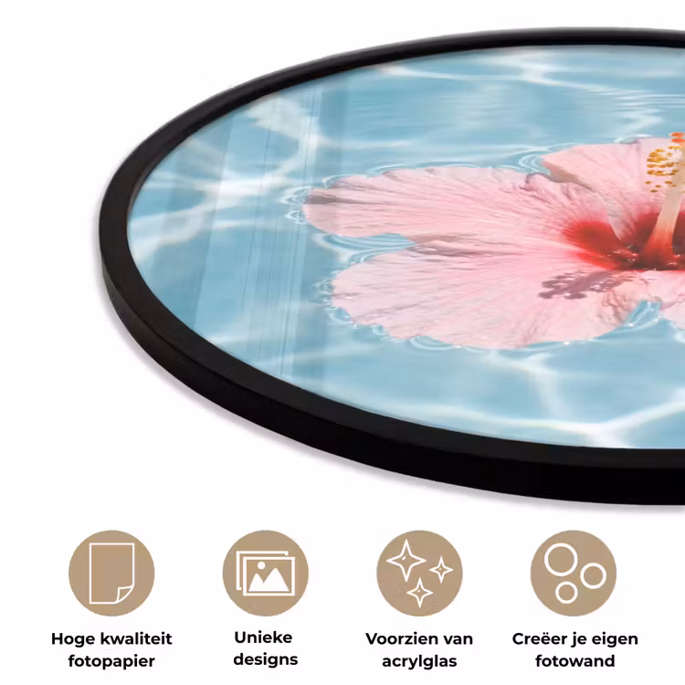 Ronde fotolijst - Hibiscus - Water - Roze — 5