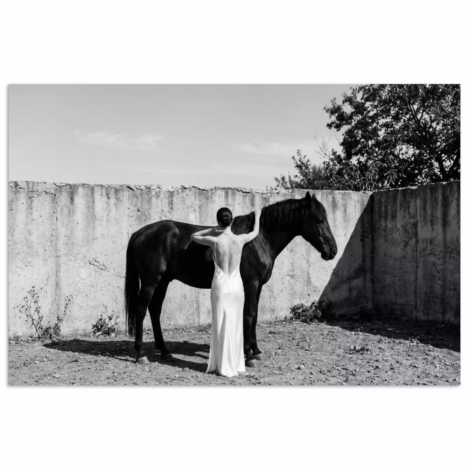 Poster - Vrouw - Paard - Artistiek — 1