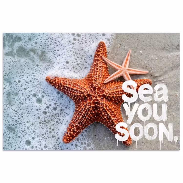 Poster - Sea you soon - Zeester - Zee — 1