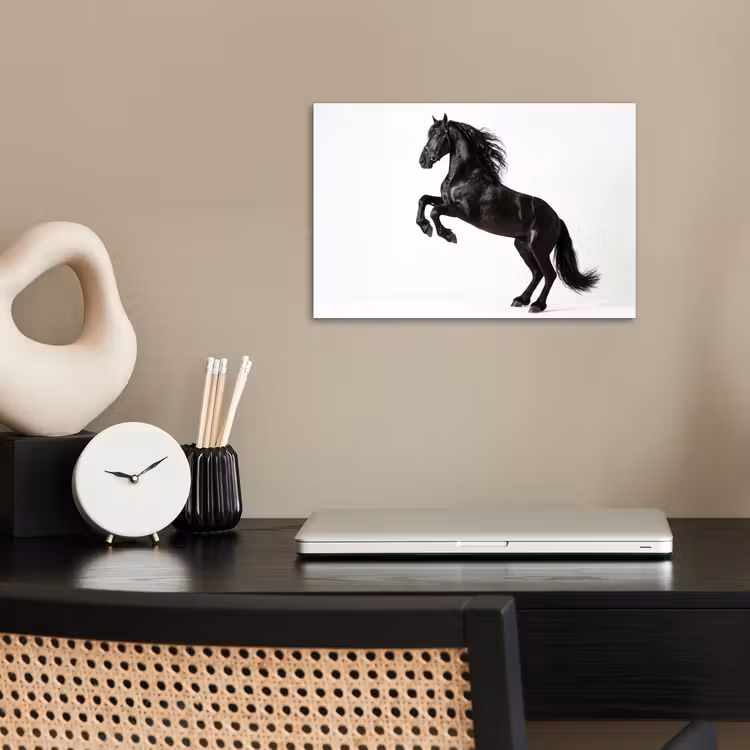 Poster - Zwart - Paard - Portret — 2