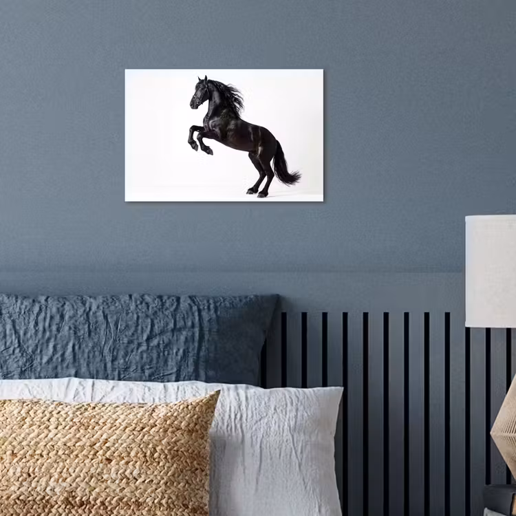 Poster - Zwart - Paard - Portret — 3