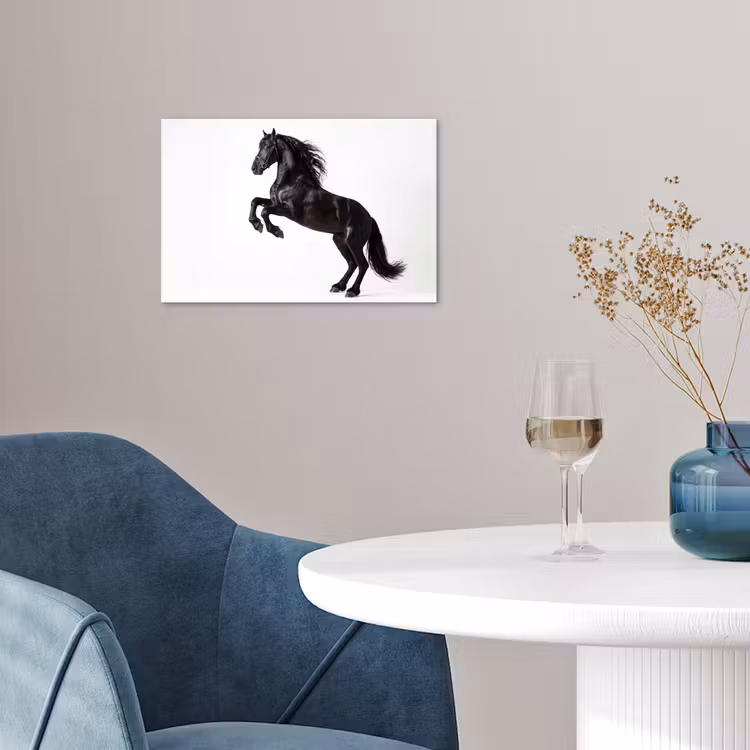 Poster - Zwart - Paard - Portret — 4