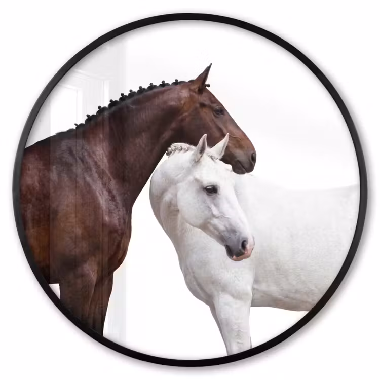 Ronde fotolijst - Paard - Modern - Balans — 1