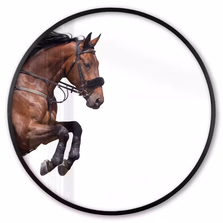 Ronde fotolijst - Paard - Springen - Modern — 1