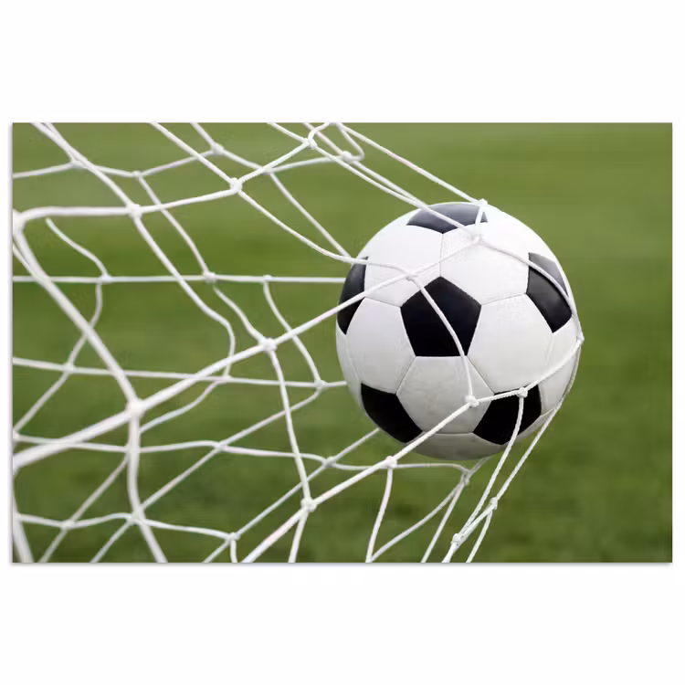 Poster - Voetbal - Goal - Net - Sport — 1
