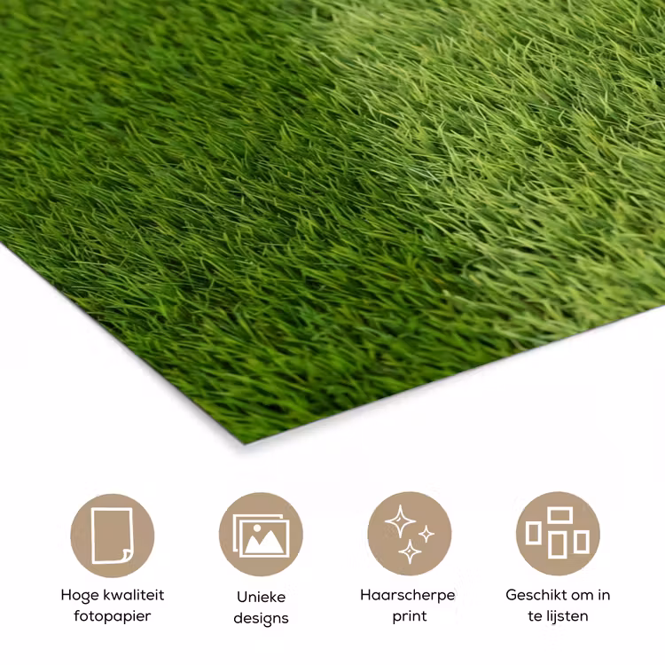 Poster - Voetbal - Grasveld - Sport - Groen — 5