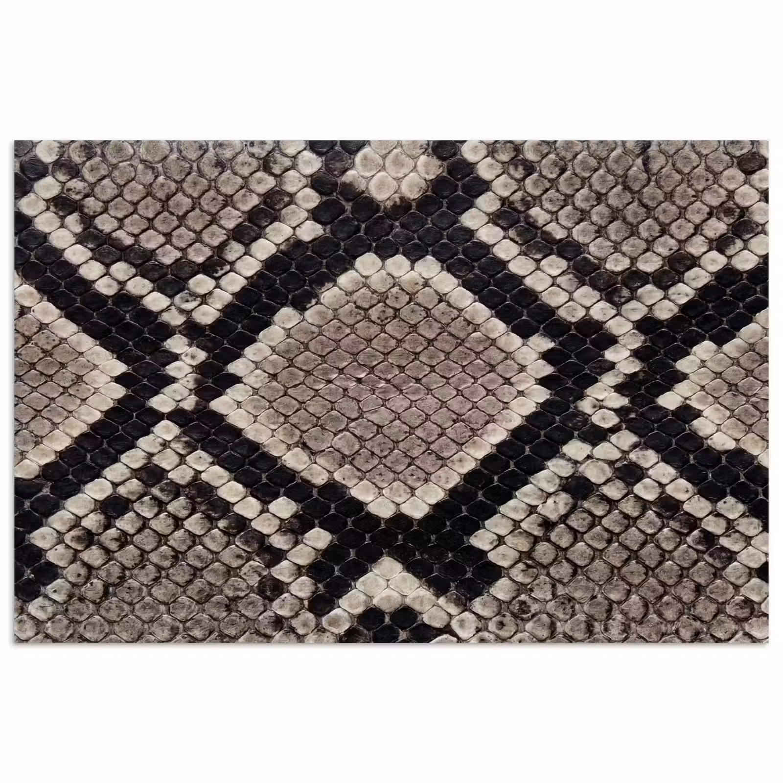 Poster - Slangenleer - Patroon - Beige — 1