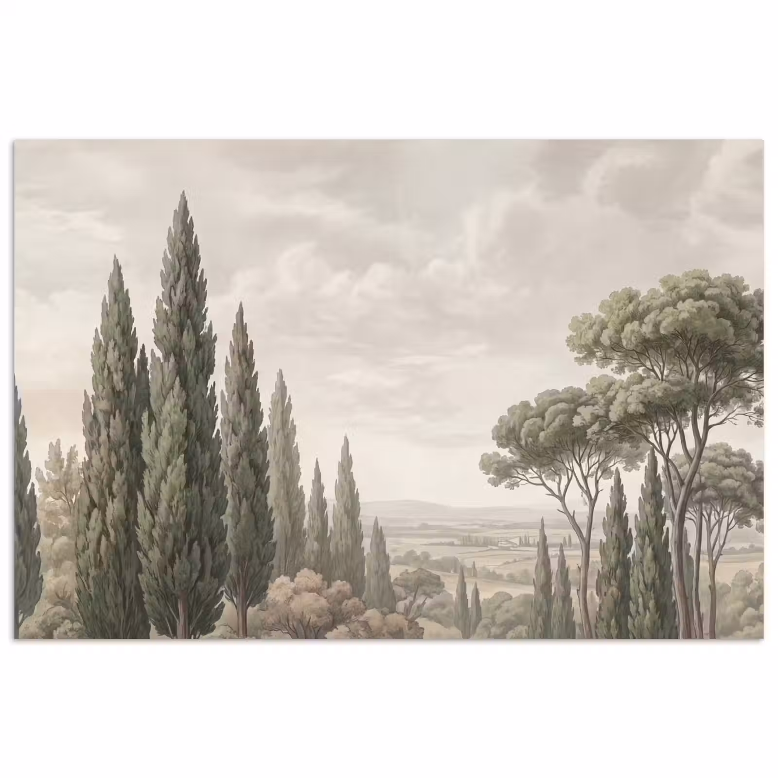 Poster - Vallei - Bos - Natuur - Groen — 1
