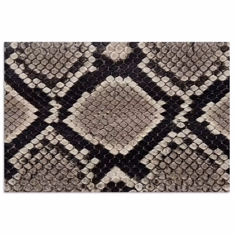 Poster - Slangenleer - Patroon - Beige — 1