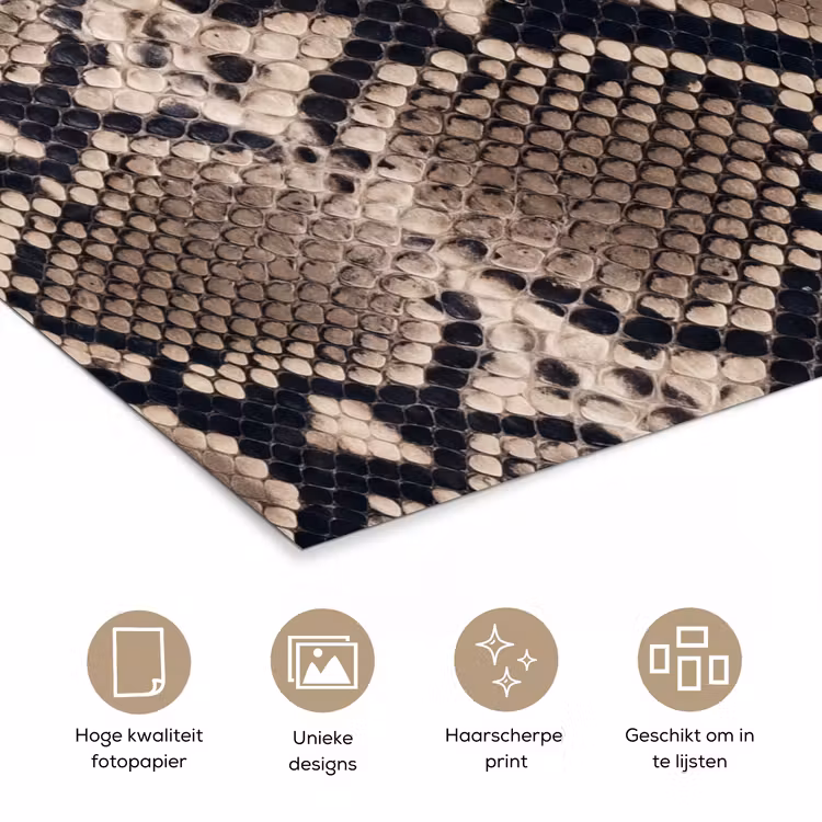 Poster - Slangenprint - Python - Bruin — 5
