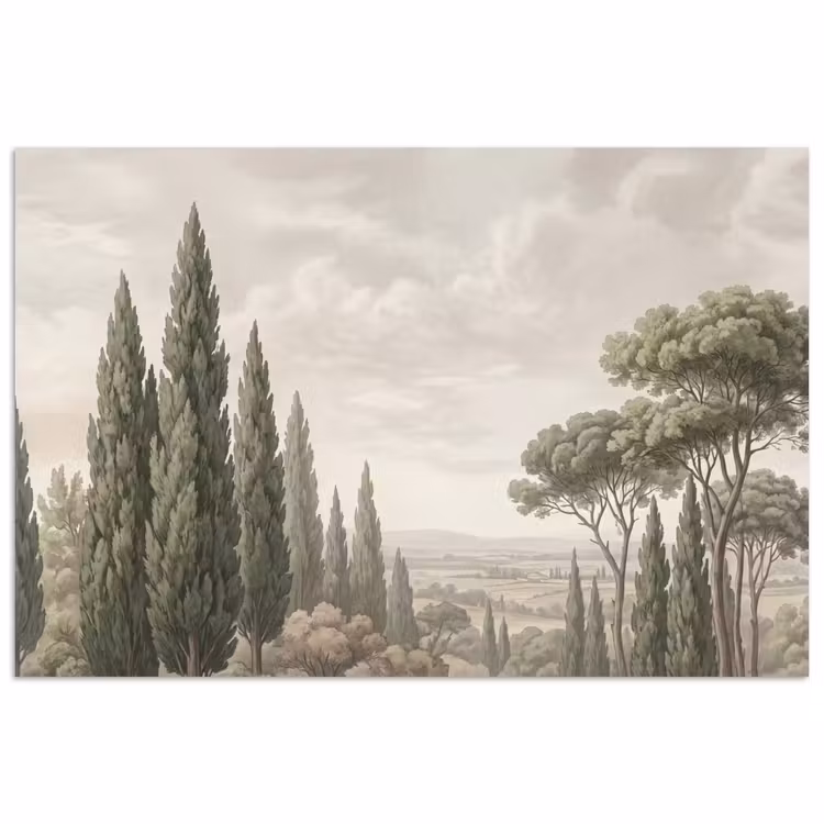 Poster - Vallei - Bos - Natuur - Groen — 1
