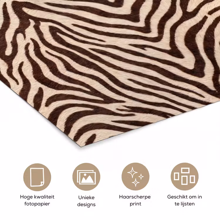Poster - Zebra - Strepen - Bruin — 5