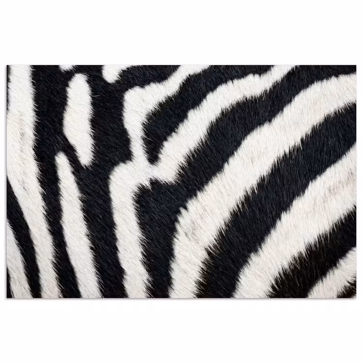 Poster - Zebra - Vacht - Klassiek - Zwart - Wit — 1