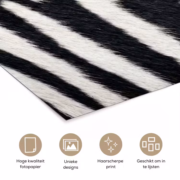 Poster - Zebra - Vacht - Klassiek - Zwart - Wit — 5