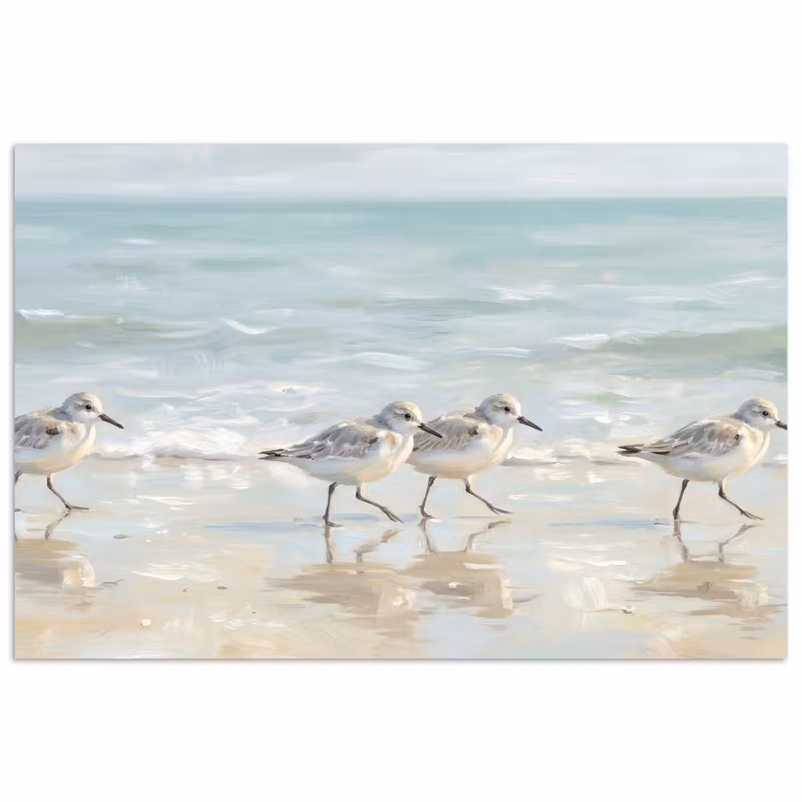 Poster - Vogels - Strand - Zee — 1
