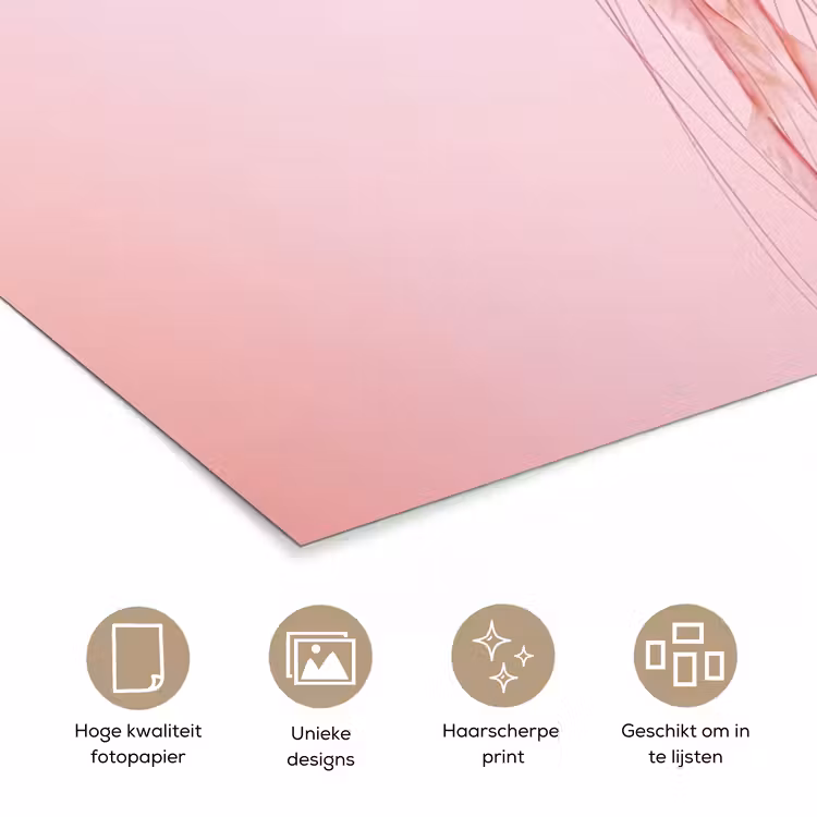 Poster - Sierlijk - Kwal - Roze — 5