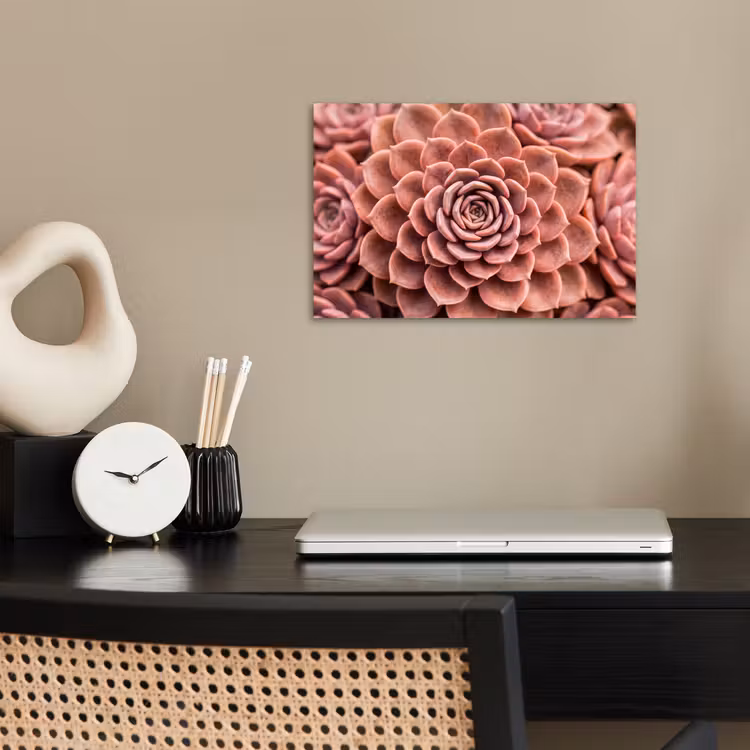 Poster - Vetplant - Organisch - Roze — 2