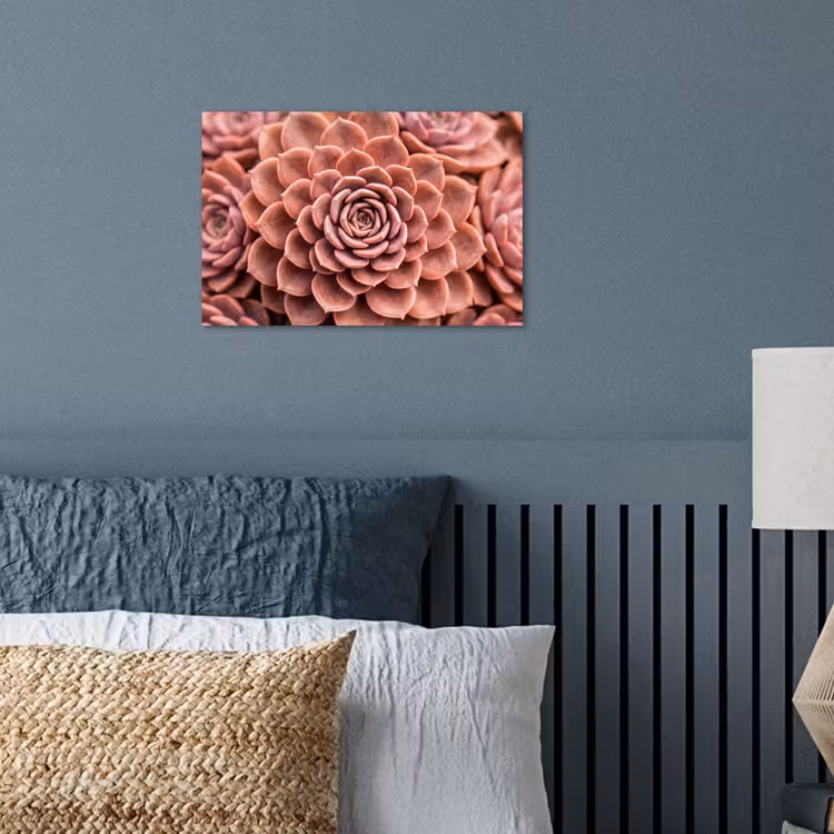 Poster - Vetplant - Organisch - Roze — 3