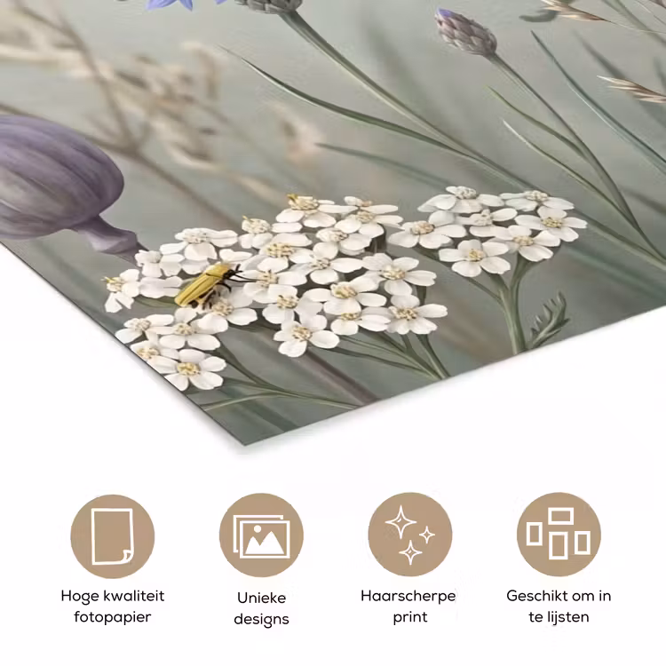 Poster - Vlinders - Wildbloemen - Illustratie - Kleurrijk — 5