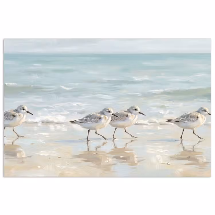 Poster - Vogels - Strand - Zee — 1