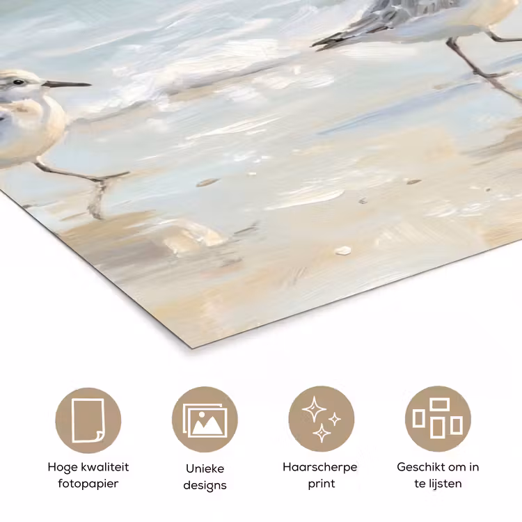Poster - Vogels - Strand - Zee — 5