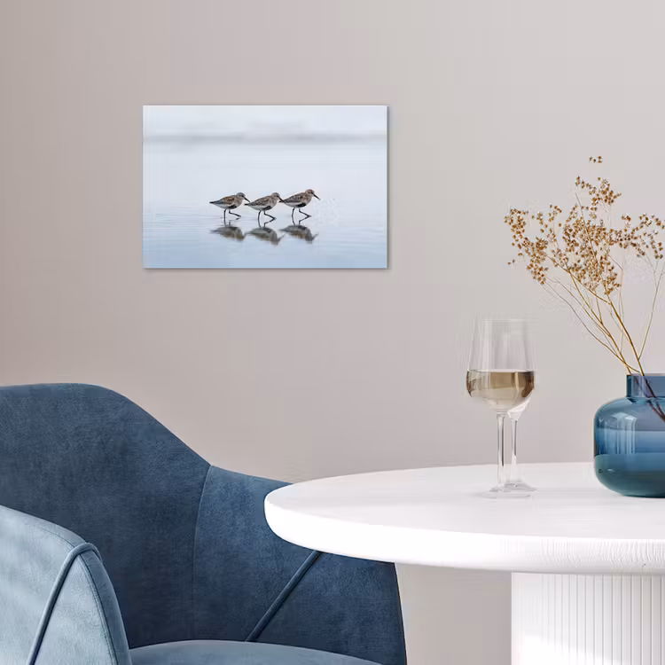 Poster - Vogels - Water - Grijs — 4