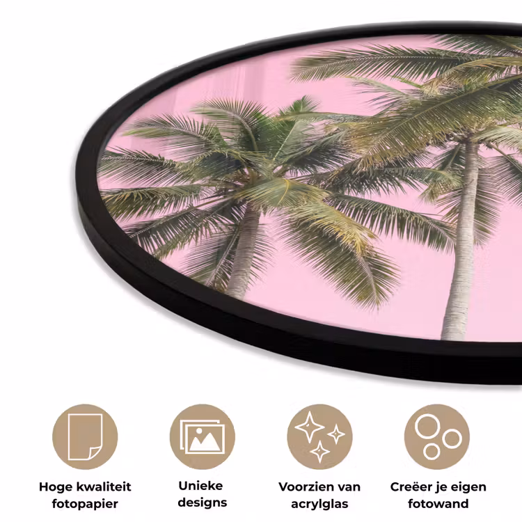 Ronde fotolijst - Palmboom - Tropisch - Pink — 5