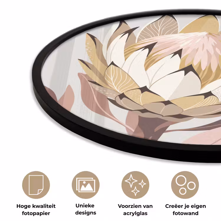 Ronde fotolijst - Protea - Bloem - Botanisch - Beige — 5