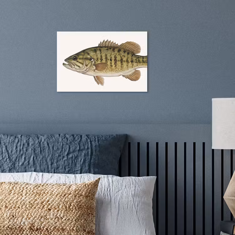 Poster - Vissen - Natuur - Vintage — 3