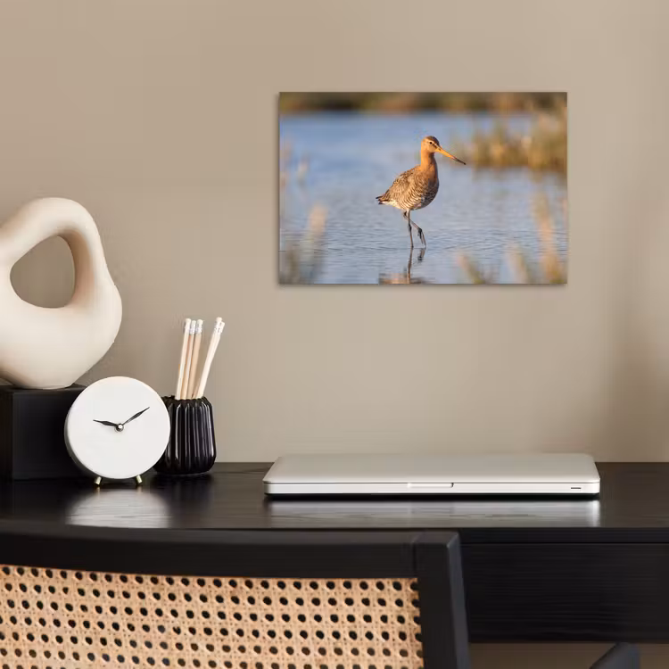 Poster - Vogel - Steltloper - Water - Natuur — 2