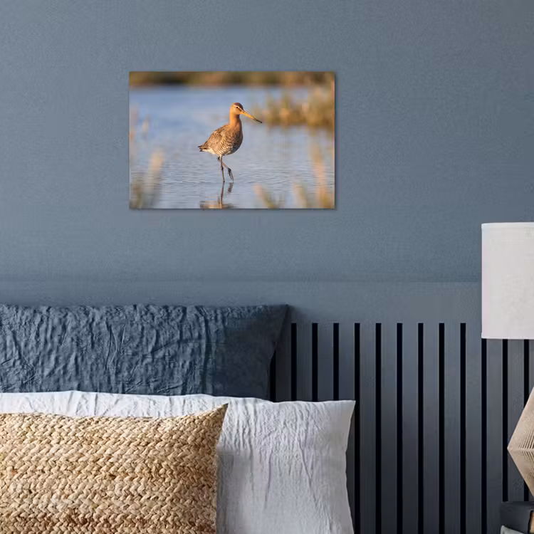 Poster - Vogel - Steltloper - Water - Natuur — 3