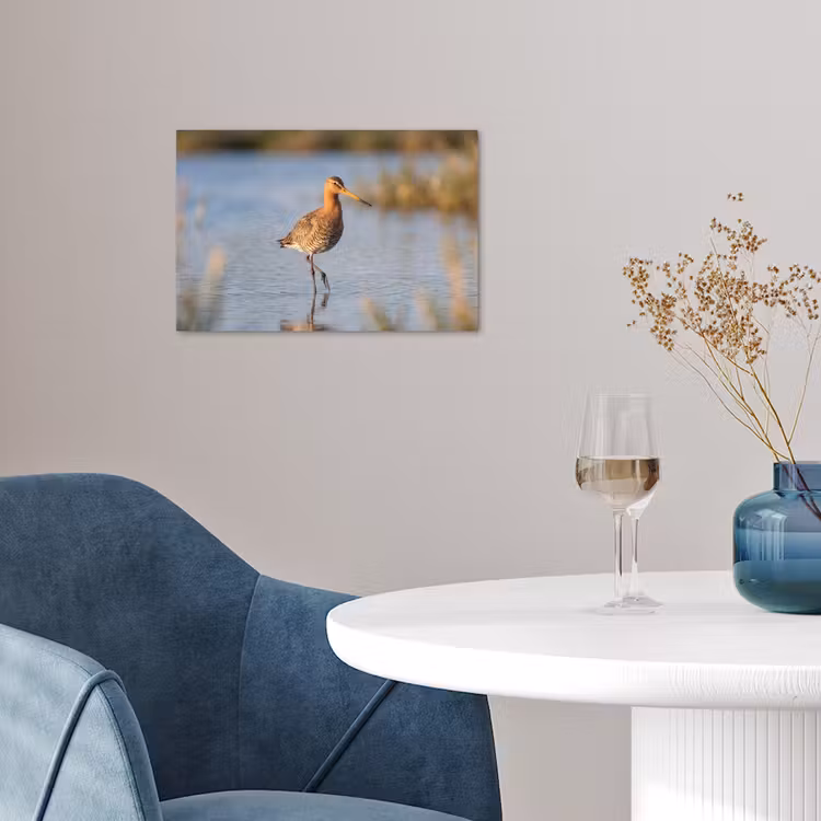 Poster - Vogel - Steltloper - Water - Natuur — 4