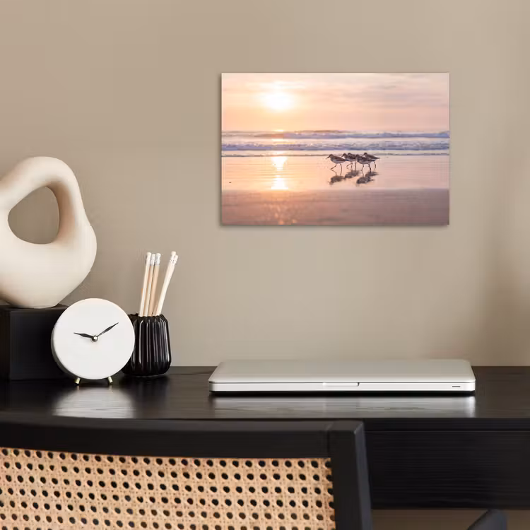 Poster - Zee - Vogels - Strand — 2