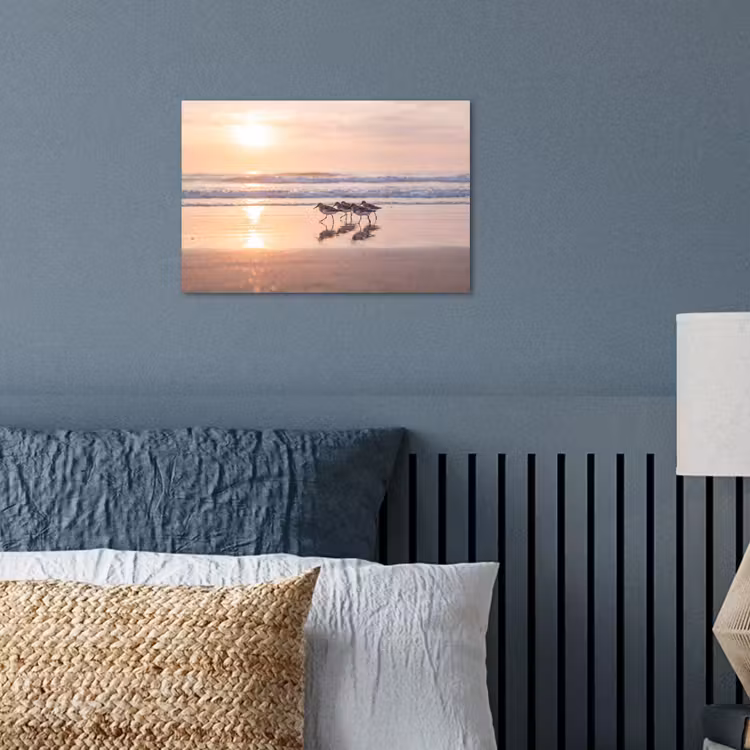 Poster - Zee - Vogels - Strand — 3