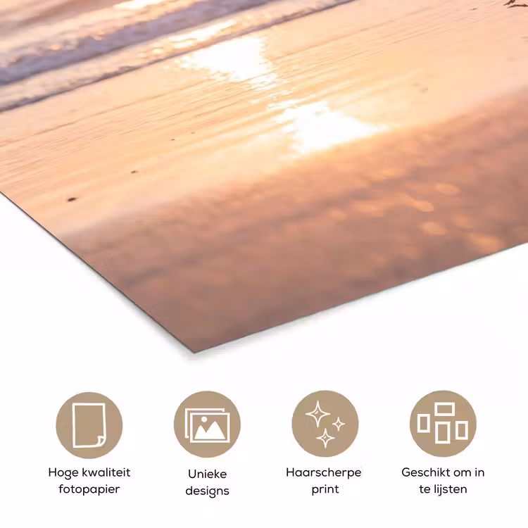 Poster - Zee - Vogels - Strand — 5